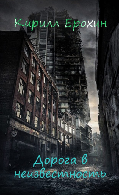 Дорога в неизвестность. Книга 1 - Кирилл Ерохин