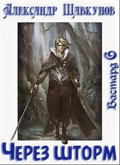 Через шторм - Александр Шавкунов