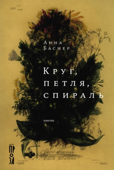 Круг, петля, спираль - Анна Баснер